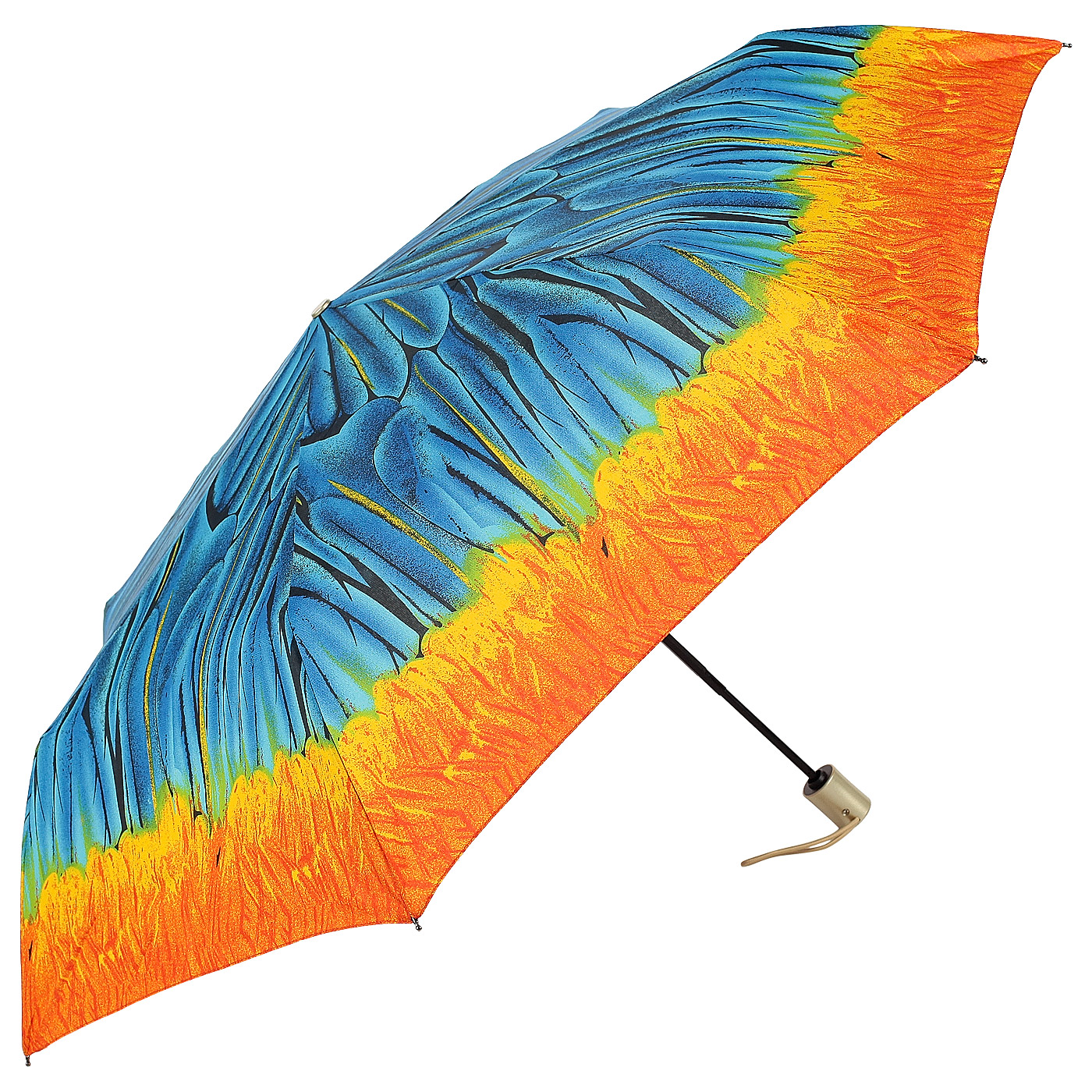 Автоматический зонт с яркой окантовкой Raindrops