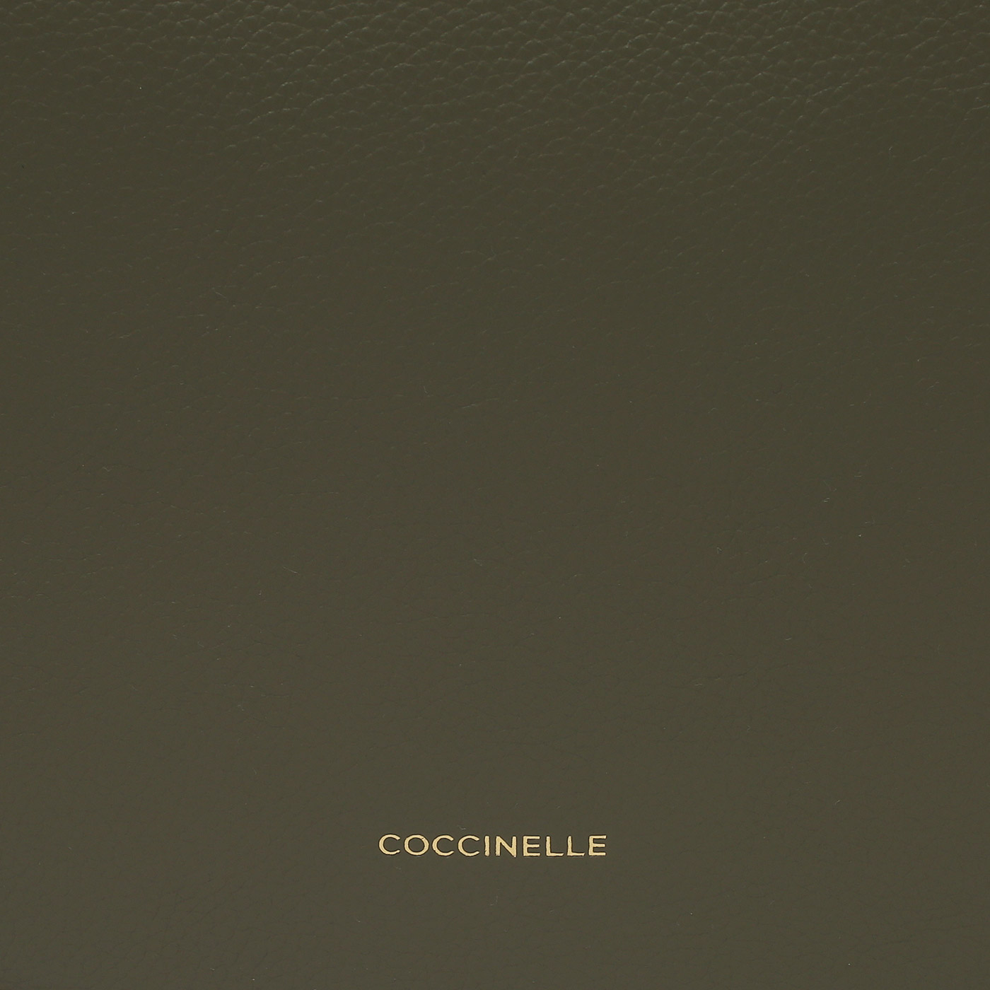 Кожаная сумка Coccinelle CoccinelleSunup