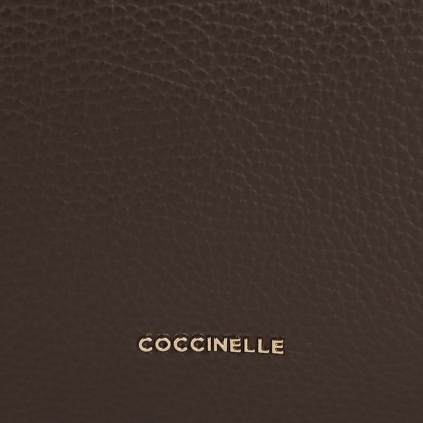 Кожаный рюкзак Coccinelle CoccinelleGleen