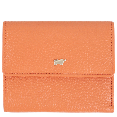 Braun Buffel