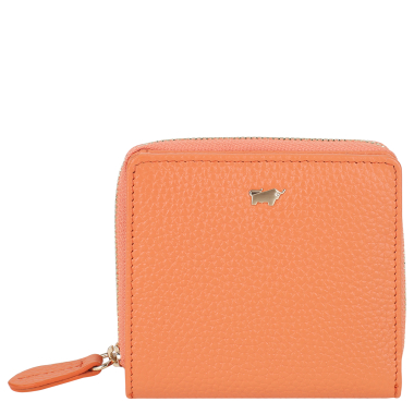 Braun Buffel