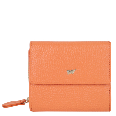 Braun Buffel