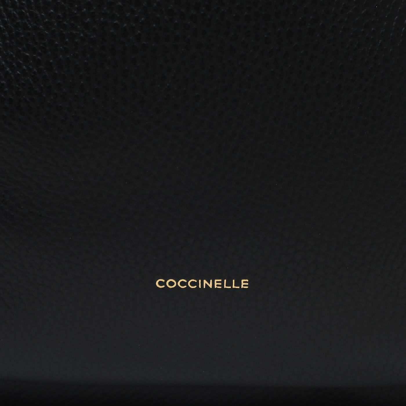 Кожаный рюкзак Coccinelle CoccinelleMalory