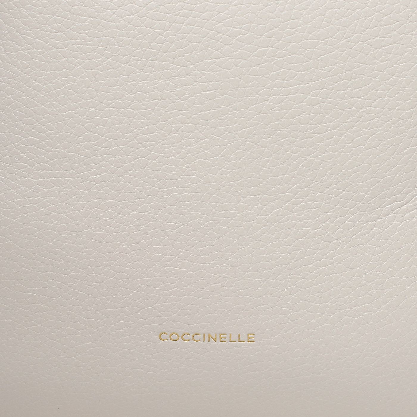 Кожаный рюкзак Coccinelle CoccinelleMalory