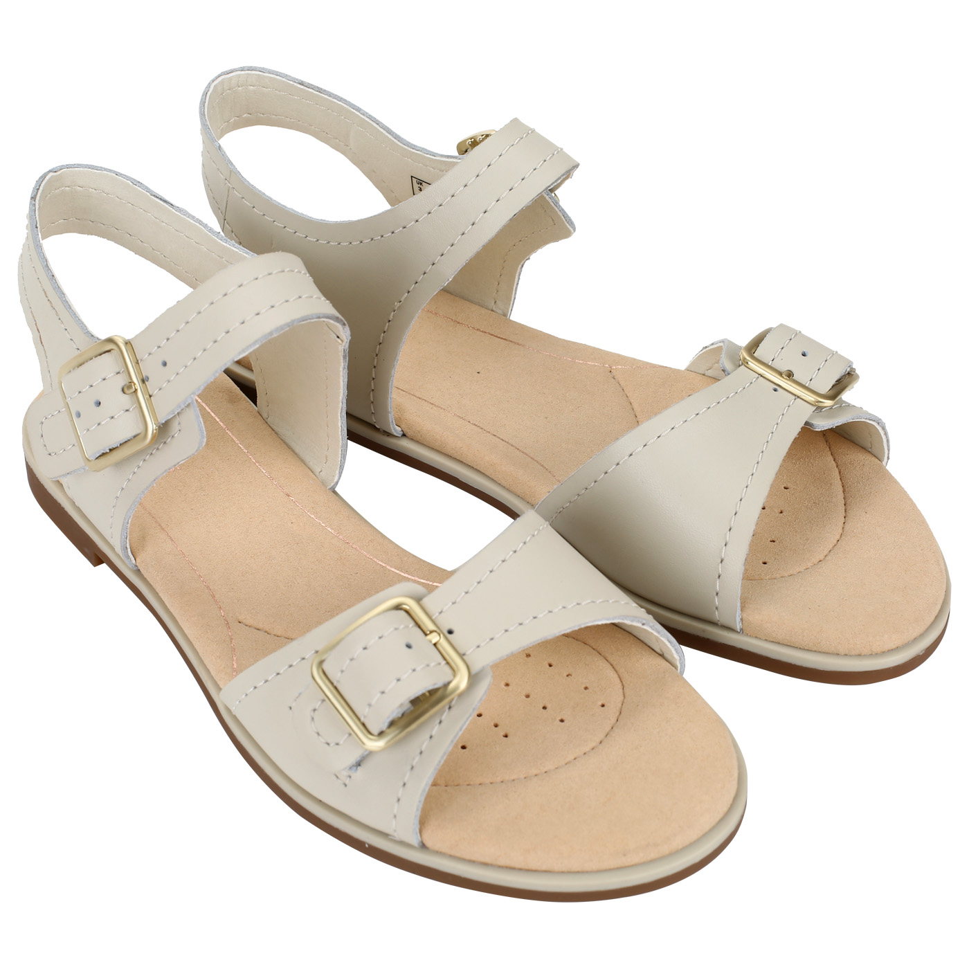 Clarks Bay Primrose