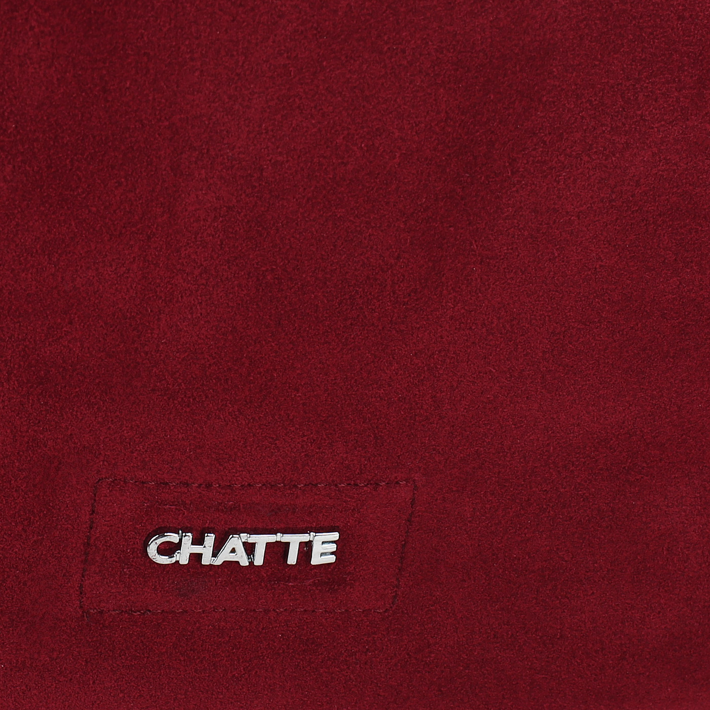 Велюровая сумка Chatte Lion