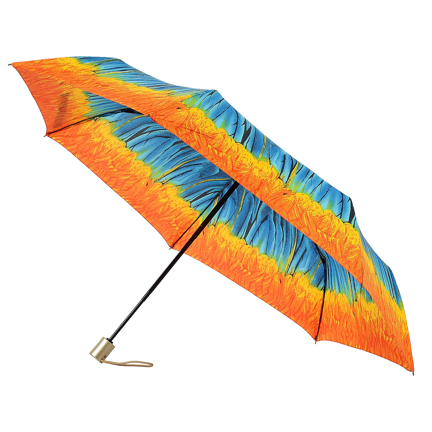 Автоматический зонт с яркой окантовкой Raindrops 